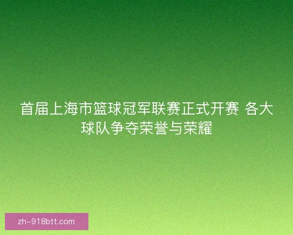 首届上海市篮球冠军联赛正式开赛 各大球队争夺荣誉与荣耀 首届上海市篮球冠军联赛正式开赛 各大球队争夺荣誉与荣耀